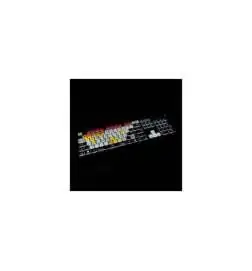 Editors Keys Backlit Keyb Live PC DE