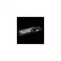Editors Keys Backlit Keyb Live PC DE