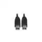 DELOCK FireWire-Kabel 6P/6P