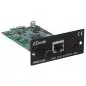 Tascam IF-DA2 Dante Interface Card