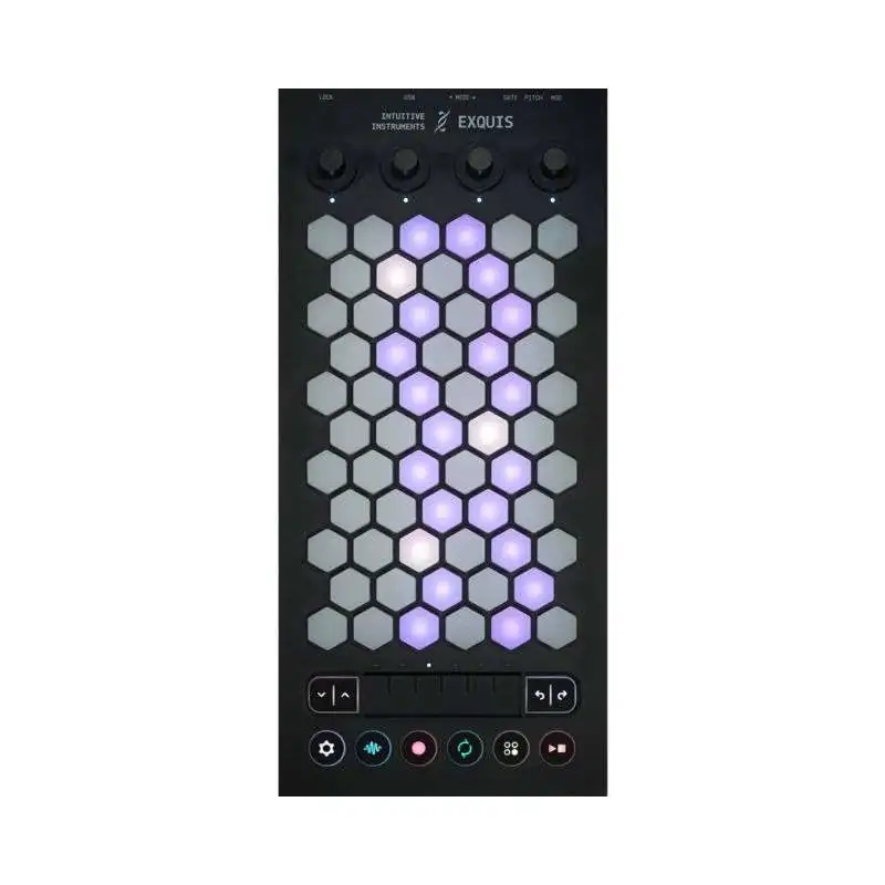 Intuitive Instruments Exquis Pure