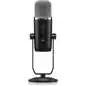 Behringer Bigfoot