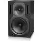 Behringer B 2031A TRUTH monitor da studio attivi