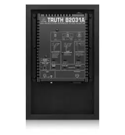 Behringer B 2031A TRUTH monitor da studio attivi