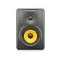 Behringer TRUTH B1030A monitor da studio attivi