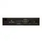 Black Lion Audio Bluey