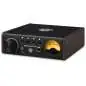Black Lion Audio Auteur DT Black Lion Audio Auteur DT
