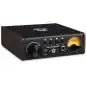 Black Lion Audio Auteur DT Black Lion Audio Auteur DT