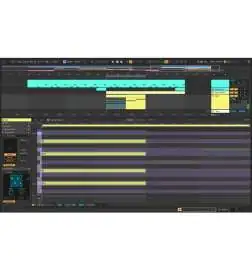 Ableton Live 12 Intro License Code