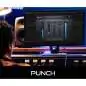 Antares Punch License Code