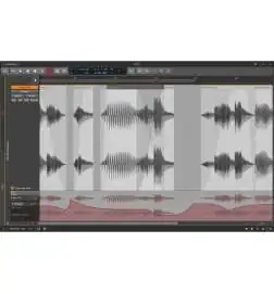 BITWIG Studio Upgrade from 8-Track License Code