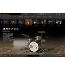 IK Multimedia MODO BASS 2 MODO DRUM 1.5 VST license code