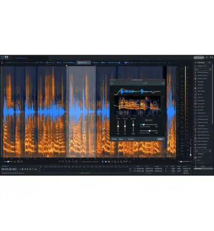 iZotope RX 11 Advanced UPG v.j.vorigen Adv., License Code