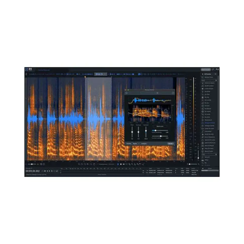 iZotope RX 11 Standard UPG License Code