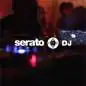 Serato DJ Suite (Code Letter)