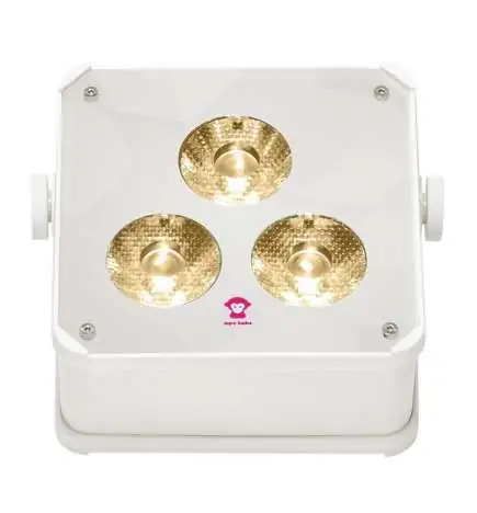 Ape Labs ApeLight Maxi V2 Single Unit - creme