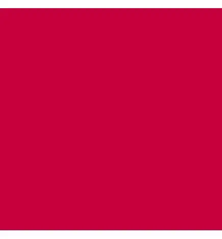 Lee 027 Farbfolie 25 x 122cm Medium Red