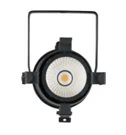 Showtec PAR 30 Warm-On-Dim