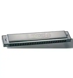 Hohner Big Valley 48 C