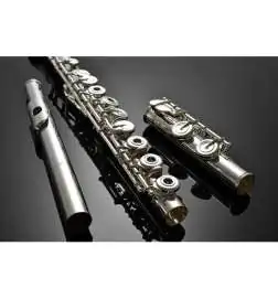 Azumi AZ-S2RE Querflöte