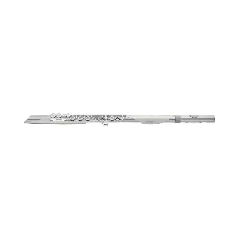 Roland Aerophone Brisa