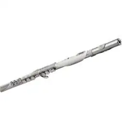 Roland Aerophone Brisa