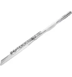 Roland Aerophone Brisa