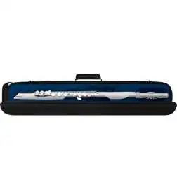 Roland Aerophone Brisa