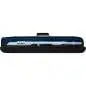 Roland Aerophone Brisa