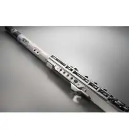 Roland Aerophone Brisa
