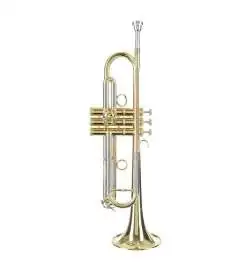 Carol Brass Bb-Trompete CTR5250L-YSS-Bb-L