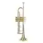 Carol Brass Bb-Trompete CTR5250L-YSS-Bb-L