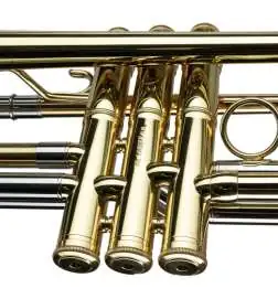Carol Brass Bb-Trompete CTR5250L-YSS-Bb-L
