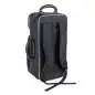Carol Brass Bb-Trompete CTR5250L-YSS-Bb-L