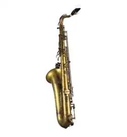 Expression XP-2 Master Tenor Saxophone