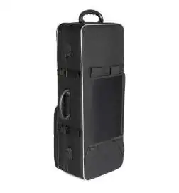 Expression XP-2 Master Tenor Saxophone