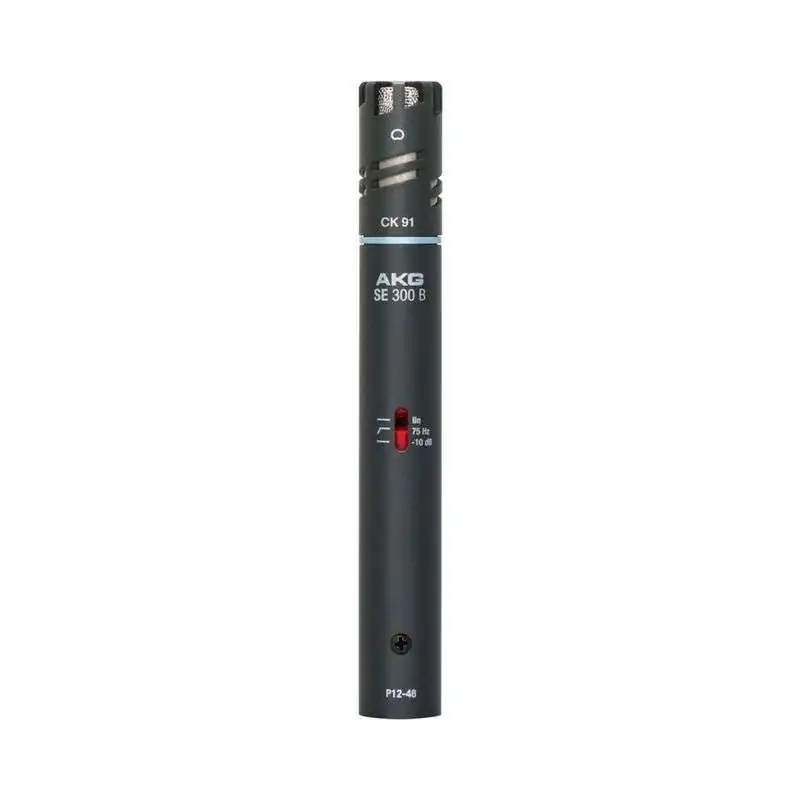 AKG C 391 B