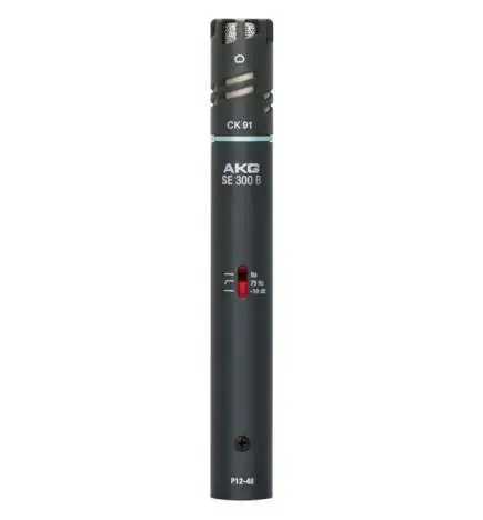 AKG C 391B