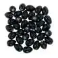 Latin Percussion Egg Shaker Set Black, 36 Stück