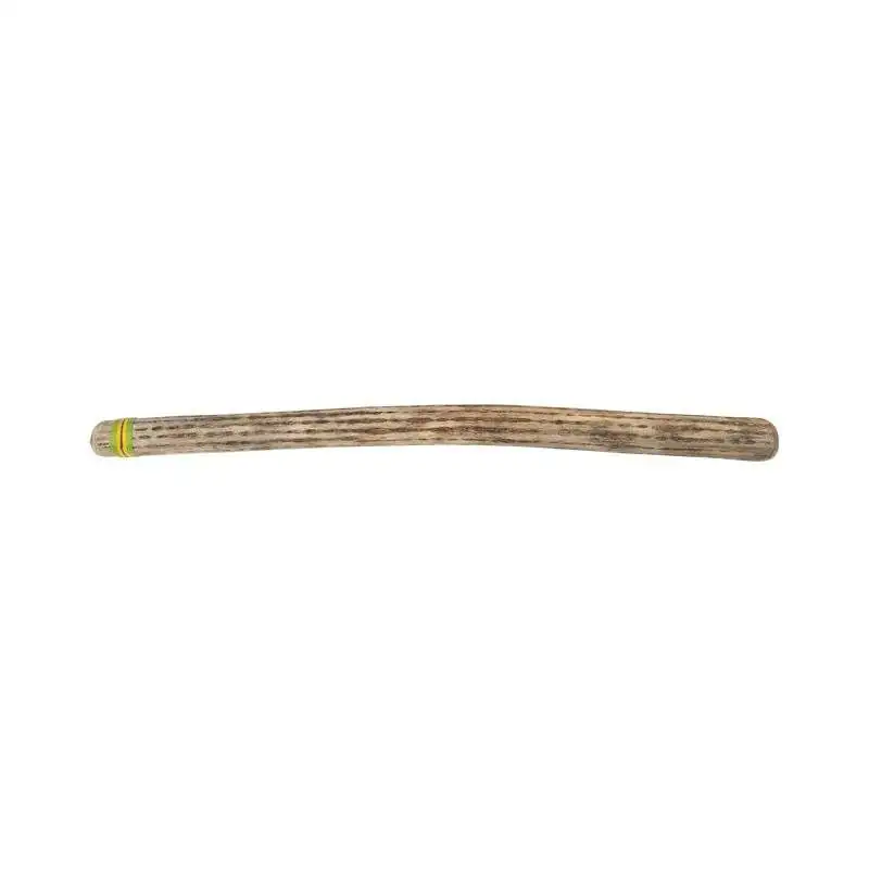 Afroton Rainmaker "groot" ARM849, Kaktus, ca. 100 cm