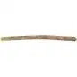 Afroton Rainmaker "large" ARM849, cactus, approx. 100 cm