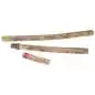 Afroton Rainmaker "groot" ARM849, Kaktus, ca. 100 cm
