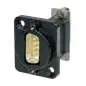 Neutrik NADB9MF-B D-SUB Durchgangs-Einbaustecker