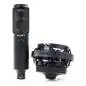 Sony C-100 Condenser microphone