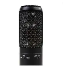 Sony C-100 Condenser microphone