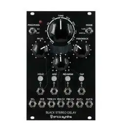 Erica Synths Black Stereo Delay