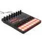1010 Music Bento Sampler