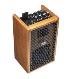 Acus OneForstrings 4 Ferdi Cherrywood