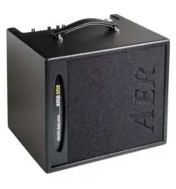 AER Combo Bottom Line Amp One