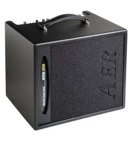 AER Combo Bottom Line Amp One
